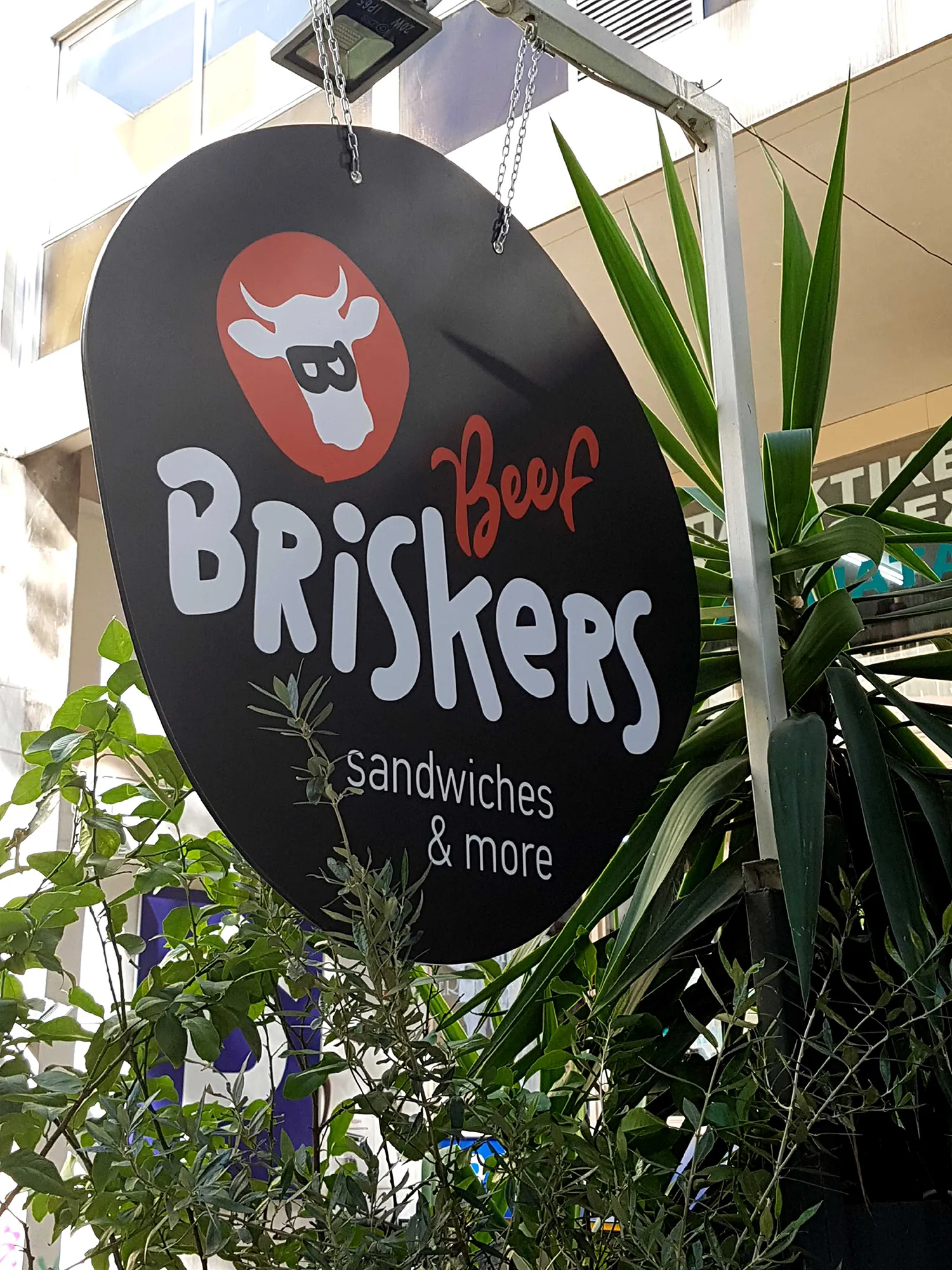 Briskers – Technical study