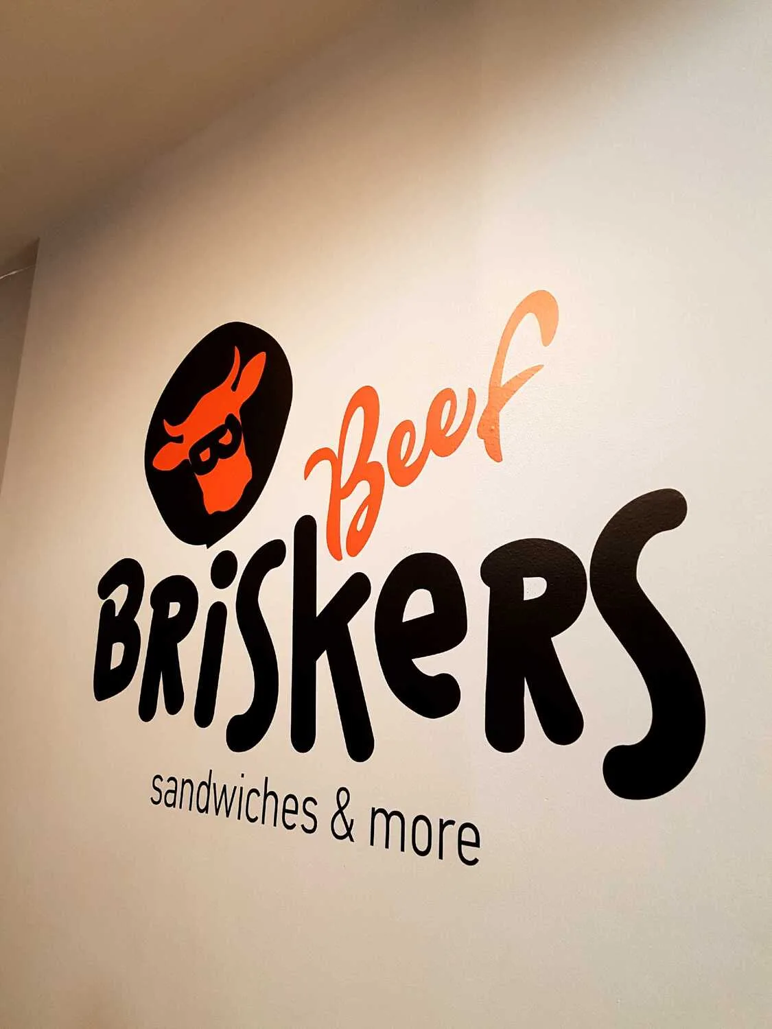 Briskers wall – Technical study