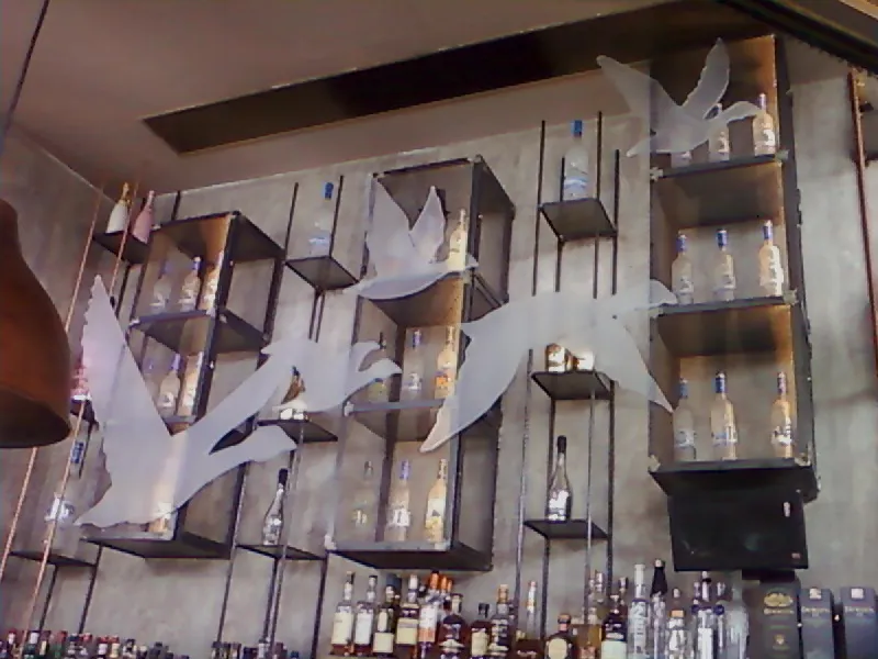 Grey Goose – Technical study