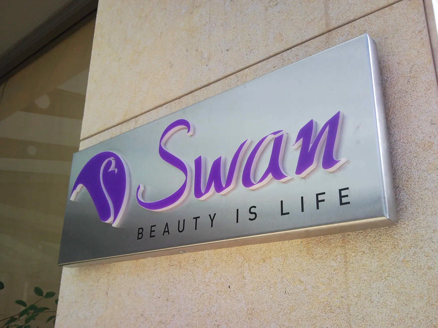 Swan Entrance – Technical study
