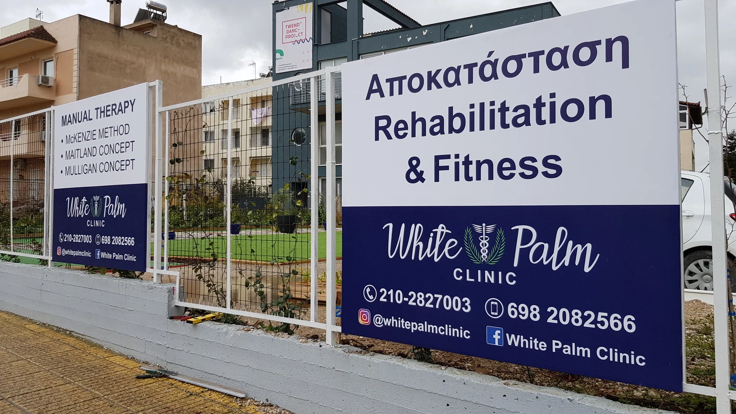 White Palm – Technical study