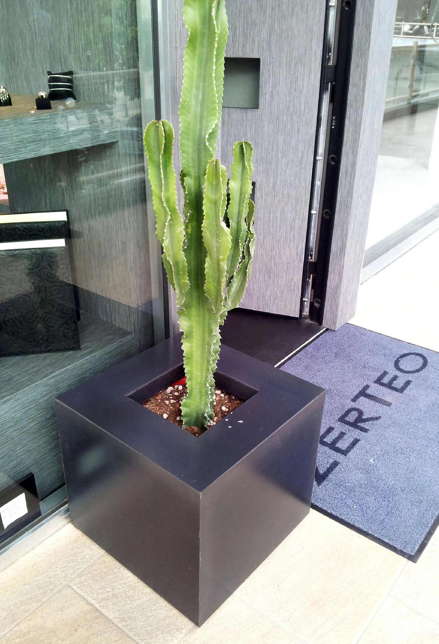 ZerTeo pot – Technical study